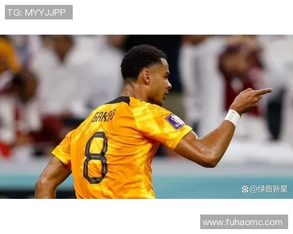 加克波：从新星崛起到国际赛场的闪耀之路