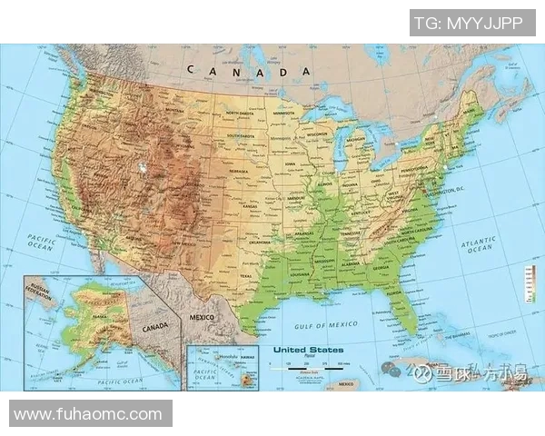 布兰与博德的历史交锋与发展演变全景解析