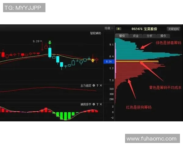 里昂主力阵容全面解析及其在比赛中的表现分析