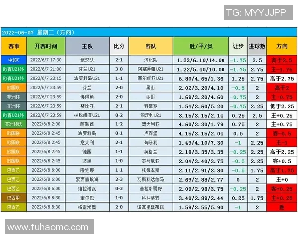 赛后分析：西安足球队与杭州足球队战术对决的深度解析与反思
